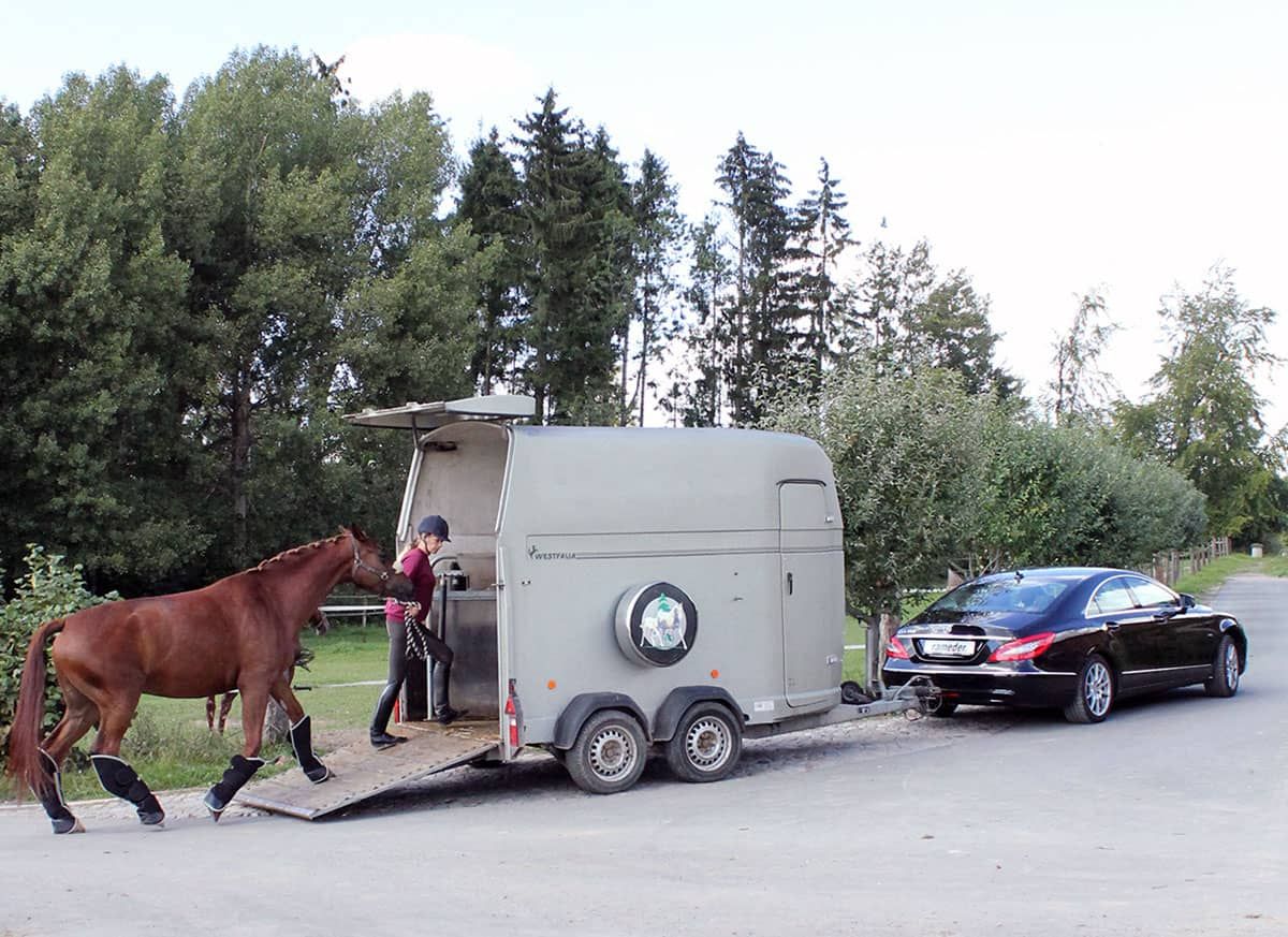 Vans pour <br> chevaux Tirer