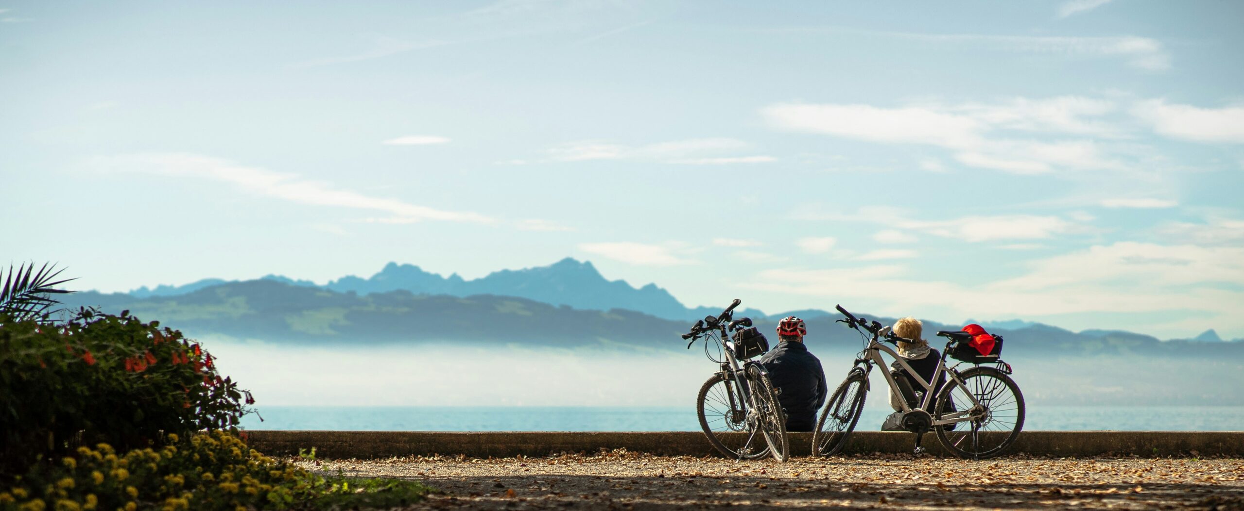 Radwege am Bodensee: 4 besonders schöne Routen mit Tipps & Einkehr