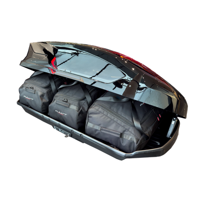 Dachboxtaschen Set Lexus M PW308-00010 415L
